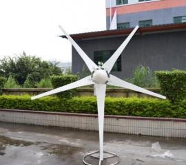 2000W Wind Turbine
